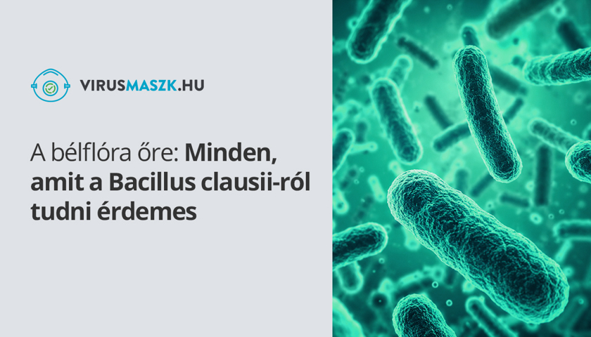A bélflóra őre: Minden, amit a Bacillus clausii-ról tudni érdemes