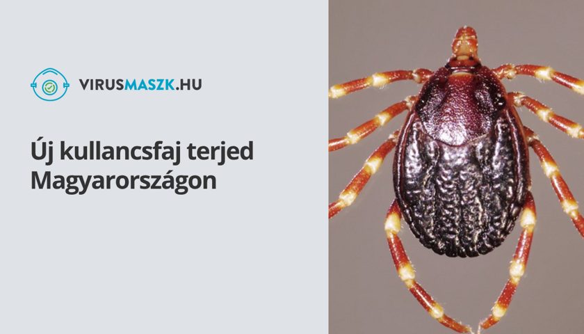 Új kullancsfaj terjed Magyarországon