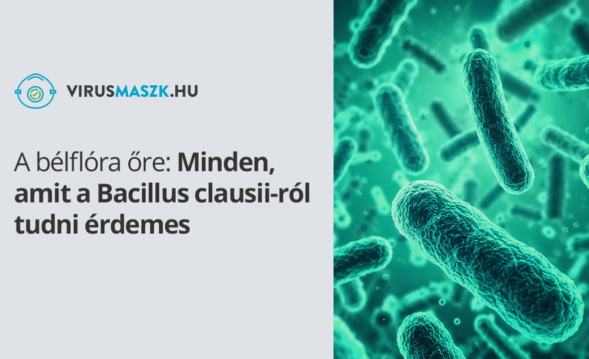 A bélflóra őre: Minden, amit a Bacillus clausii-ról tudni érdemes